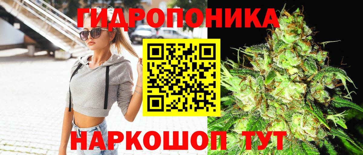 Обь  Канабис White Widow  Вход с VPN  Шишки марихуана семена  Канабис White Widow 